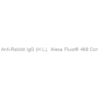 Donkey Anti-Rabbit IgG (H+L),  Alexa Fluor® 488 Conjugated